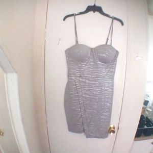 Silver Tiger Print Dress